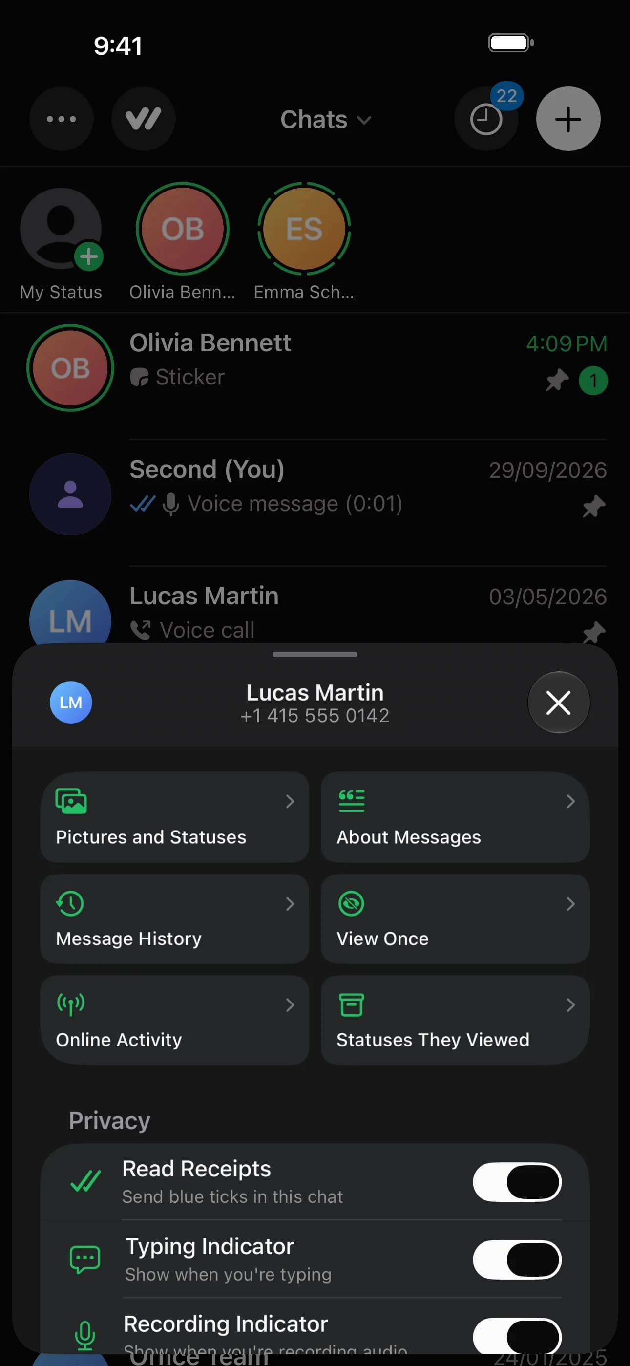 Quick Controls for one chat